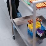 From Lab to Lives: How Vaccines Travel the Globe How Vaccines Travel the Globe