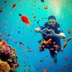 How Volunteering in Belize Is Saving Our Oceans One Dive at a Time How Volunteering in Belize Is Saving Our Oceans One Dive at a Time