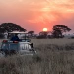 Top Destinations to Visit in Africa in 2025 Top Destinations to Visit in Africa