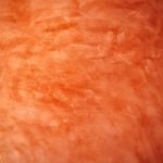 Why Perfect Plastering is the Foundation for Any Quality Paint Job Why Perfect Plastering is the Foundation for Any Quality Paint Job