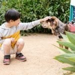 Key Resources for Families After Autism and ADHD Testing Key Resources for Families After Autism and ADHD Testing