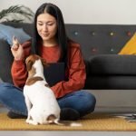 5 Supplies Every New Pet Owner Needs Supplies Every New Pet Owner Needs